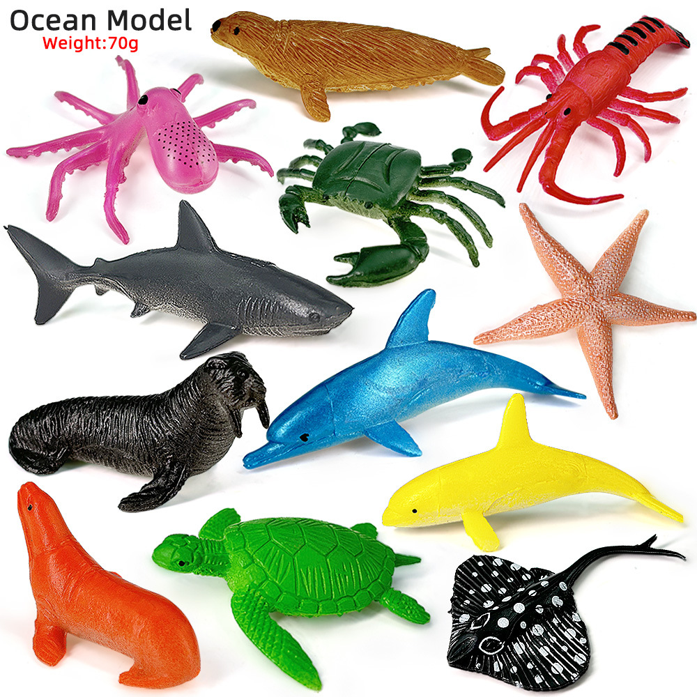 Kids Education Material - 12 pièces océan mer vie ensemble