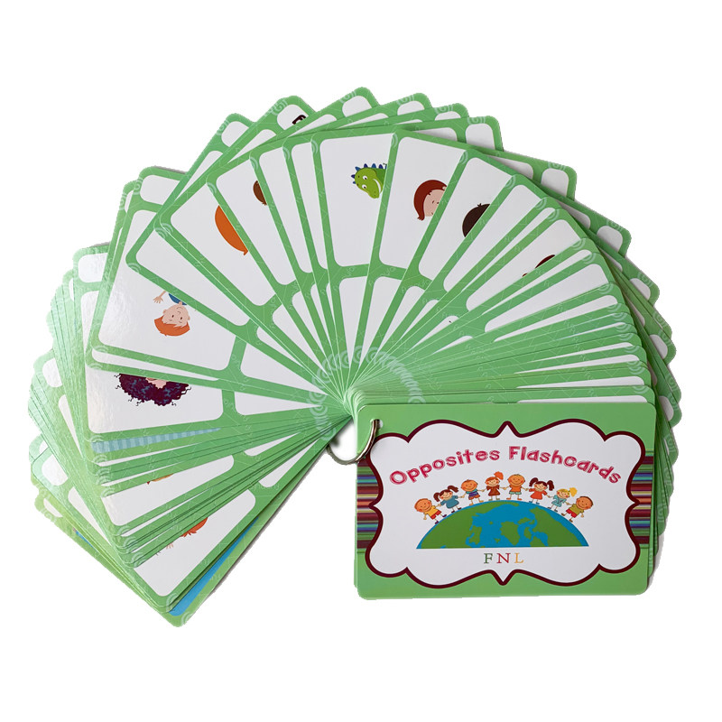 100 cartes mémoire sur les gro - Kids Education Material avis et prix