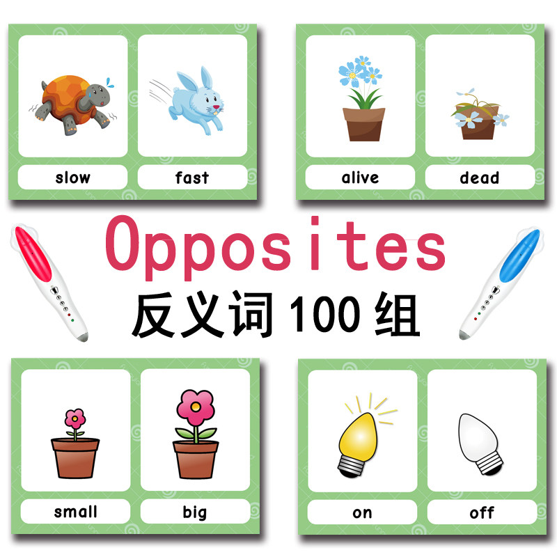 100 cartes mémoire sur les gro - Kids Education Material avis et prix