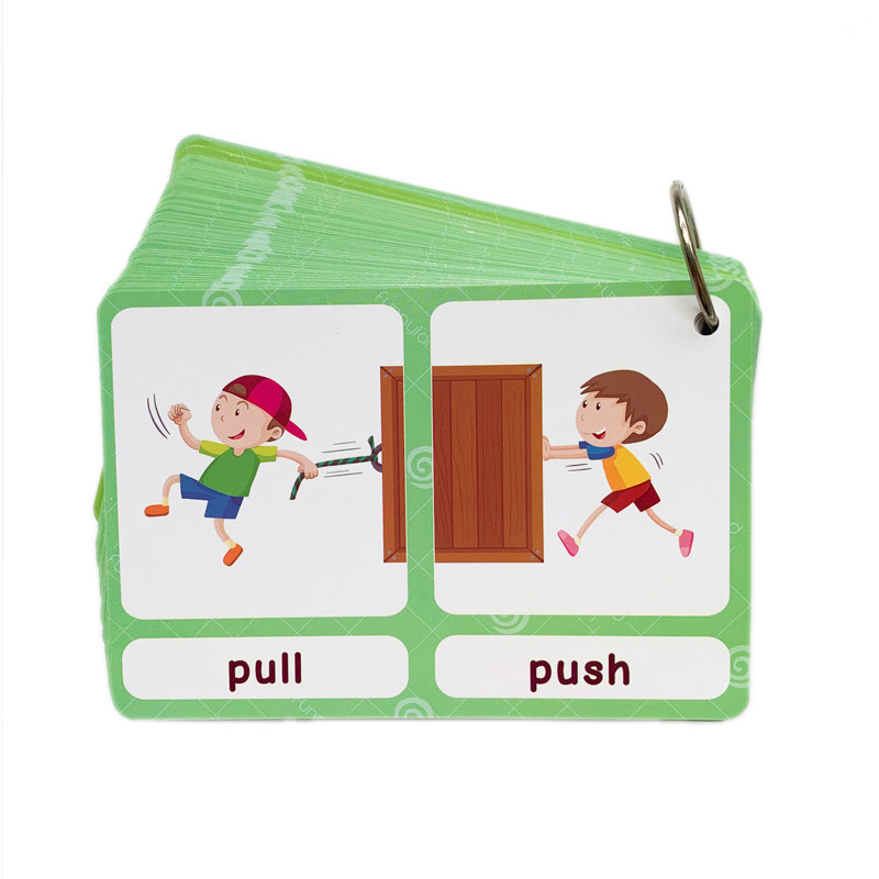 100 cartes mémoire sur les gro - Kids Education Material avis et prix