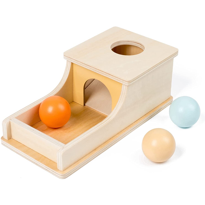 Boîte à boules en bois Montess - Human Body Puzzle avis et prix