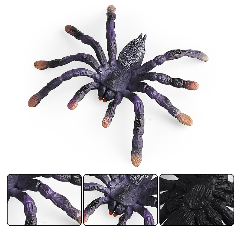 Oenux insectes animaux modèle  - Kids Without Education avis et prix