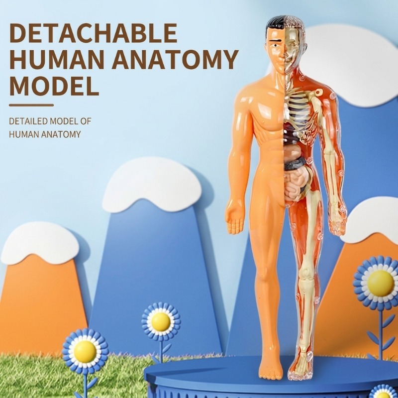 Kit d'expériences scientifique - Human Body Puzzle avis et prix