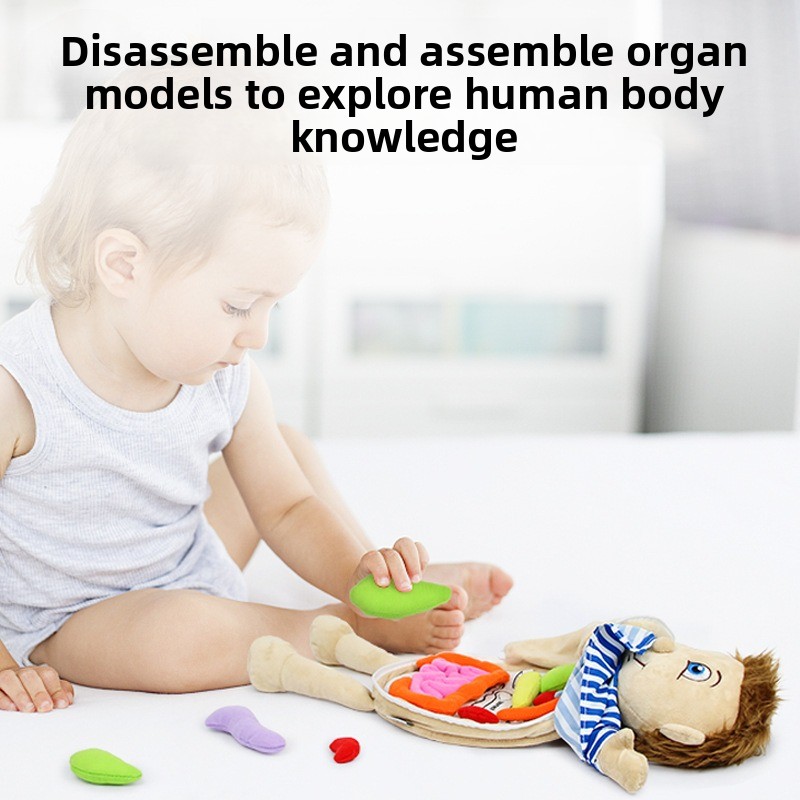 Puzzle de cognition des organe - Human Body Puzzle avis et prix