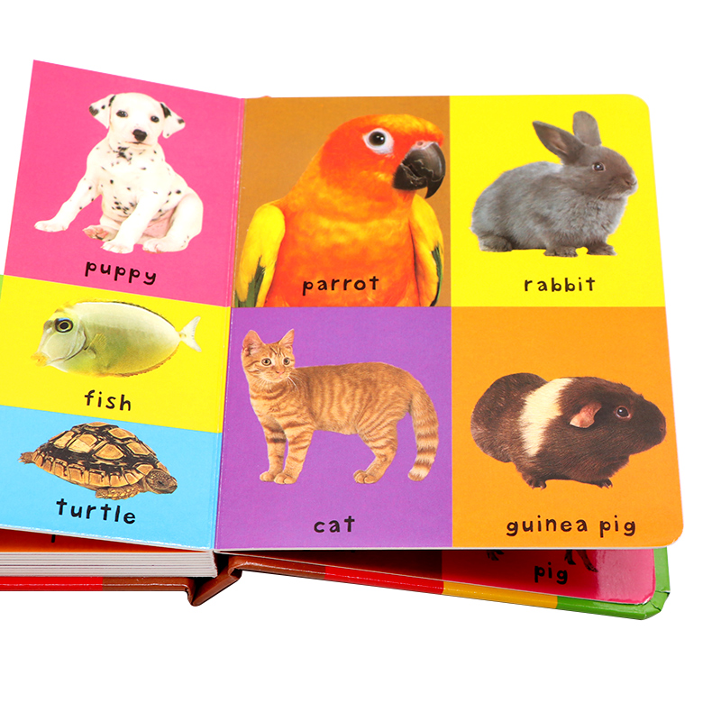 Livre cartonné sur les 100 pre - Sight Word Game avis et prix
