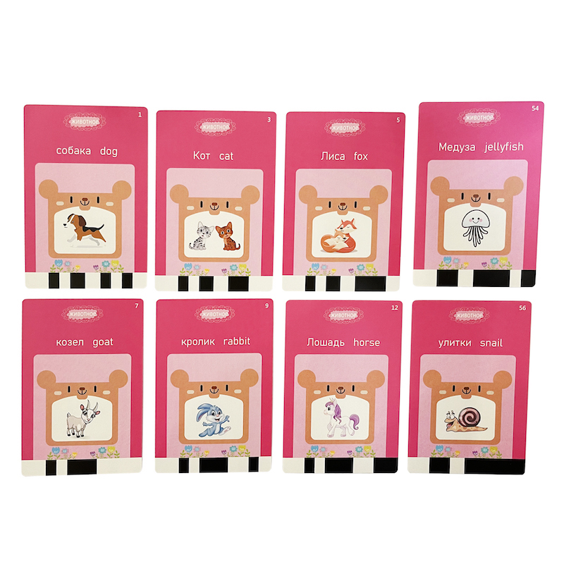 Cartes flash anglaises russes  - Flash Card Alphabet avis et prix