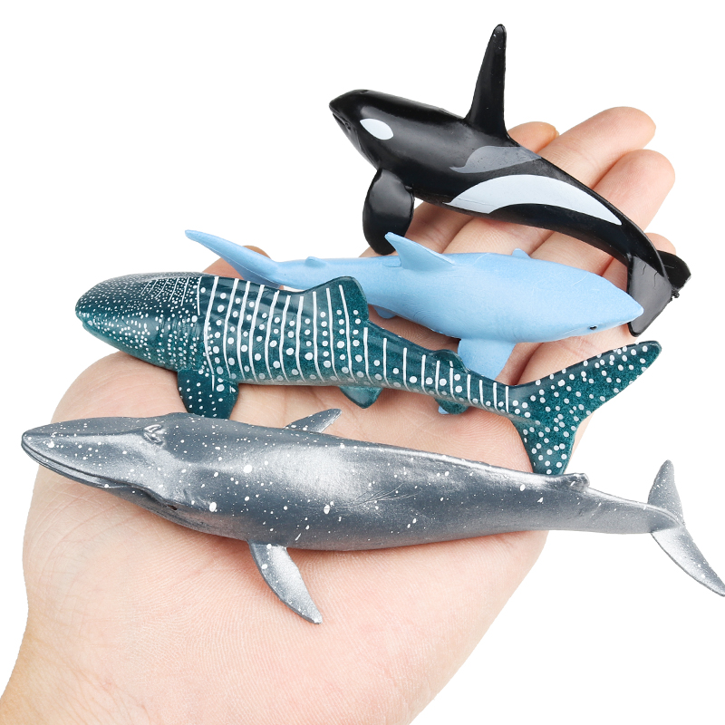 Oenux animaux de la vie marine - Kids Without Education avis et prix