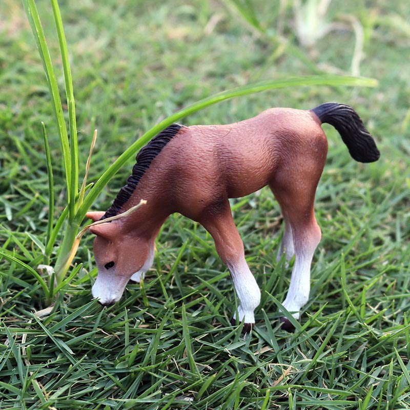 Oenux – Figurines d'animaux de - Kids Without Education avis et prix