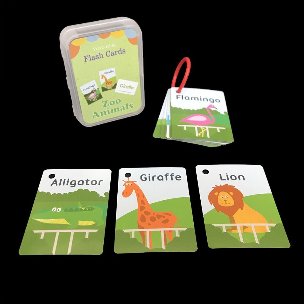 Cartes Flash Éducatives Intera - Flash Card Alphabet avis et prix
